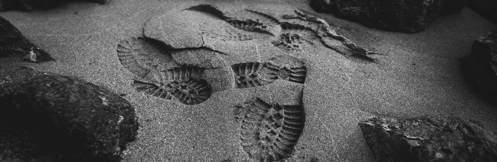 Why Working with a Local SEO Partner Like RankFast Gives You a Competitive Edge